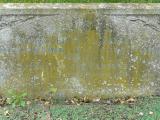 image of grave number 219436
